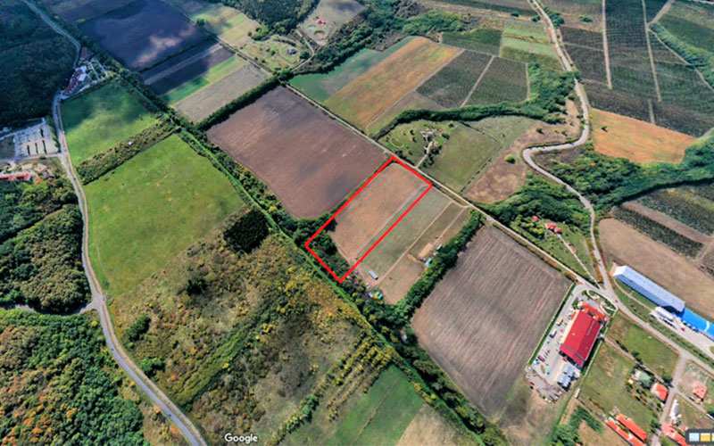 Show Field